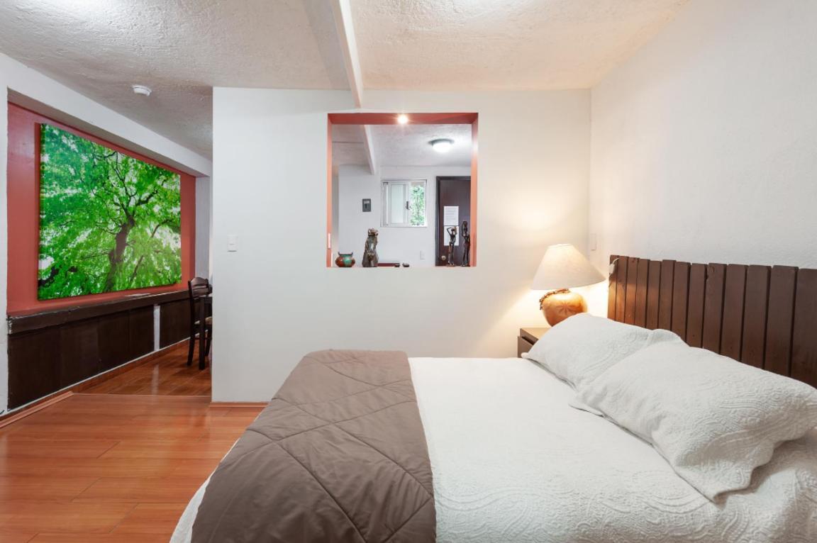 Suite 5A, Altavista, Garden House, Welcome To San Angel Ciudad de México Exterior foto