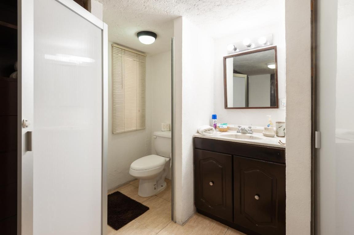 Suite 5A, Altavista, Garden House, Welcome To San Angel Ciudad de México Exterior foto
