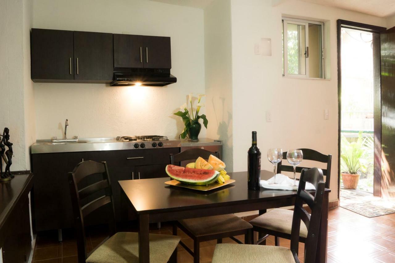 Suite 5A, Altavista, Garden House, Welcome To San Angel Ciudad de México Exterior foto
