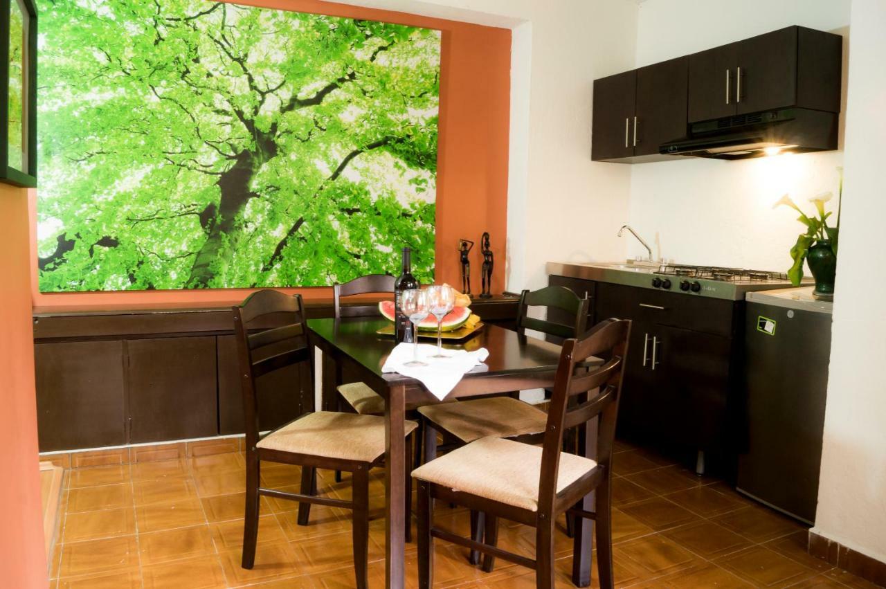 Suite 5A, Altavista, Garden House, Welcome To San Angel Ciudad de México Exterior foto
